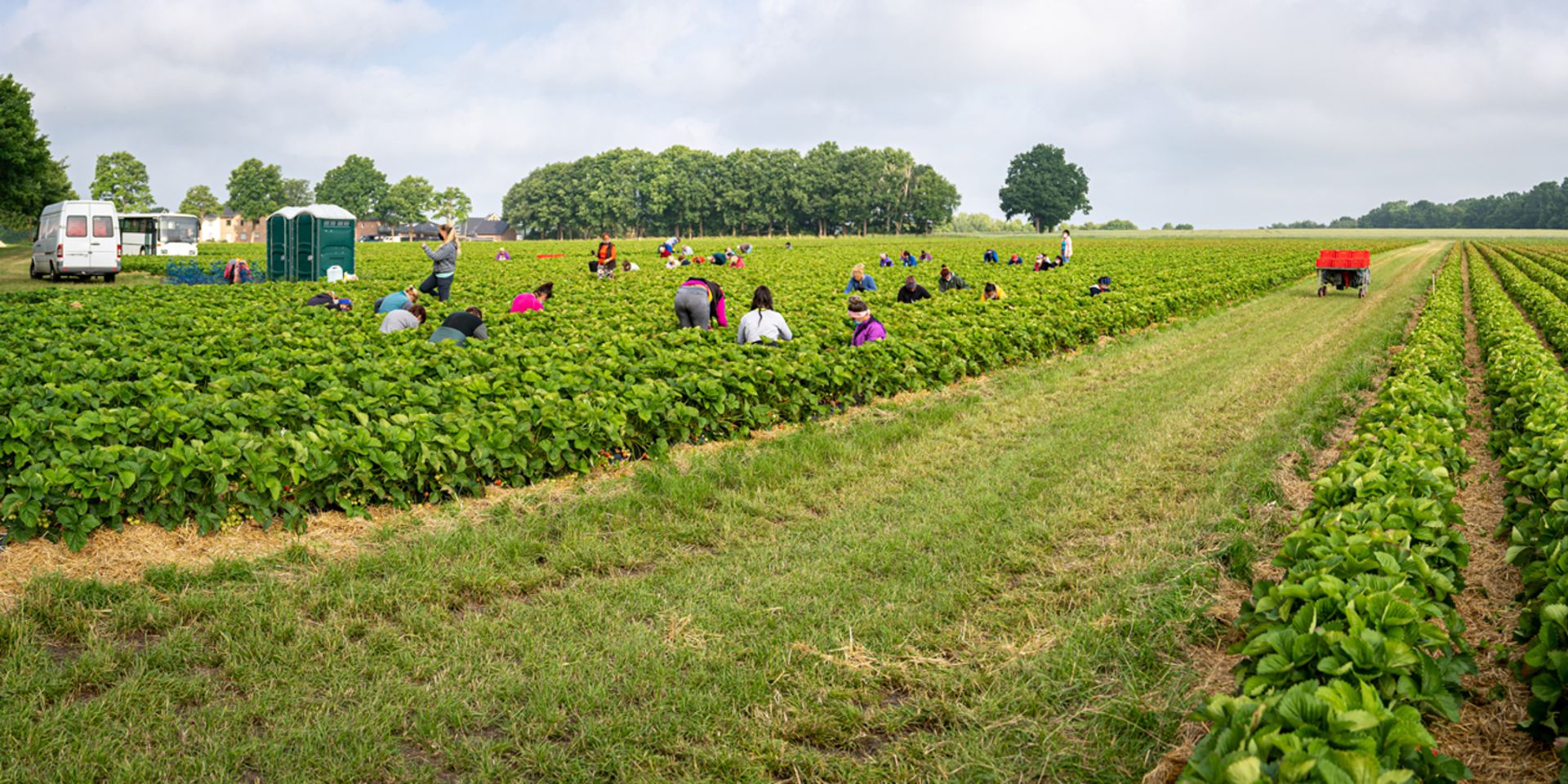 digitale Arbeitszeiterfassung in der Landwirtschaft