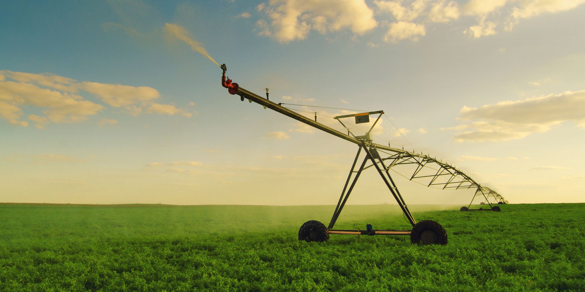 IoT Fernmessung in Landwirtschaft und Agrarbetrieb