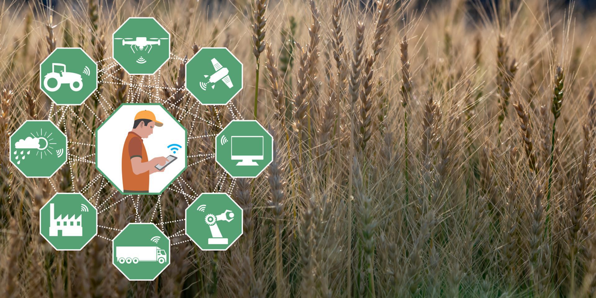 IoT GPS Software für Landwirtschaft 4.0